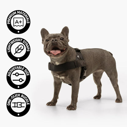 Solvna™ No-Pull Adjustable Dog Harness