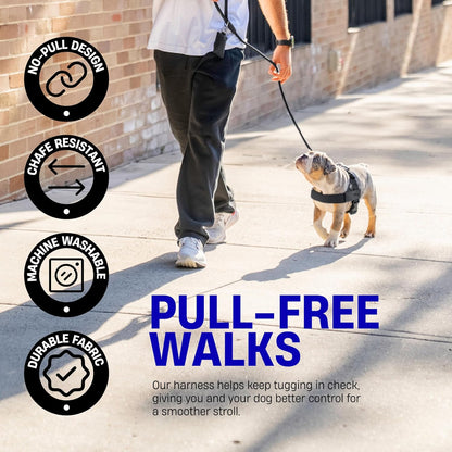 Solvna™ No-Pull Adjustable Dog Harness