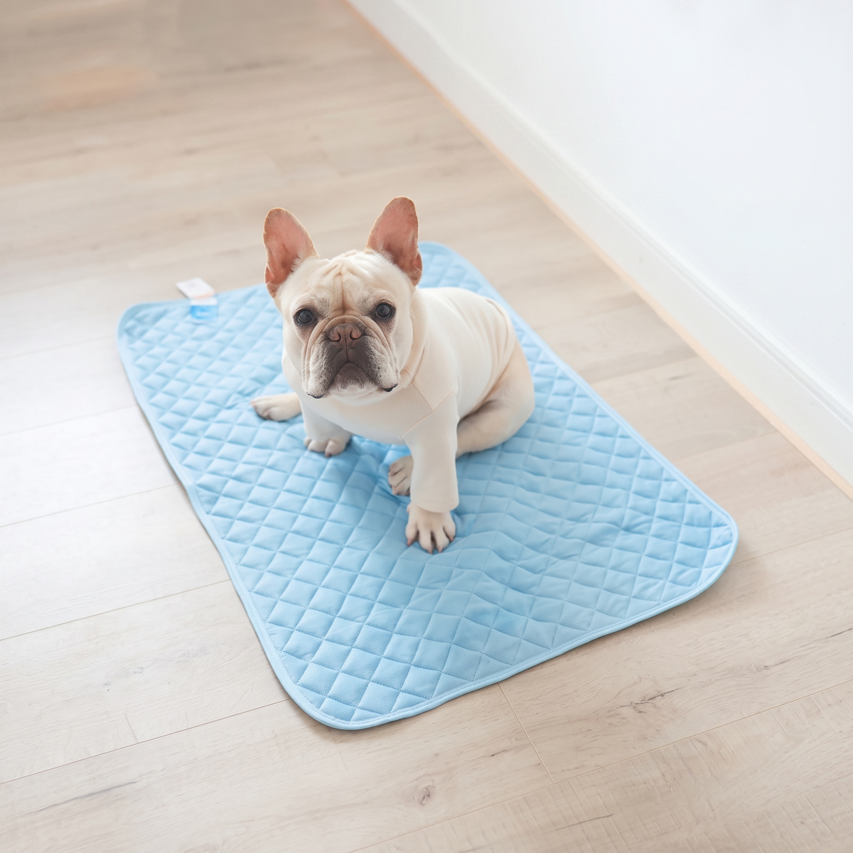 Solvna Chill Mat — Pressure-Activated Cooling Pad