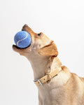Tennis Balls 4-Pack
