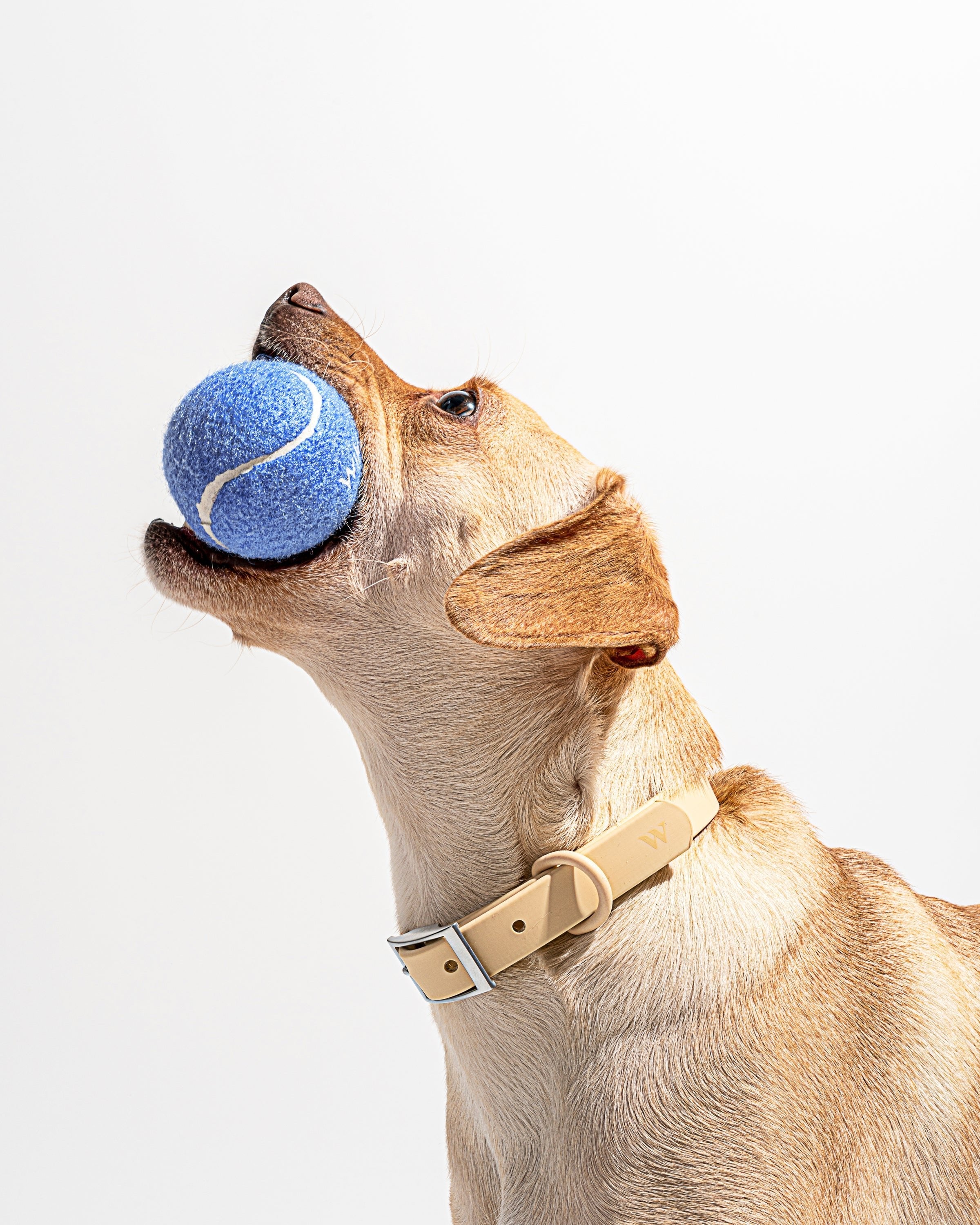 Tennis Balls 4-Pack